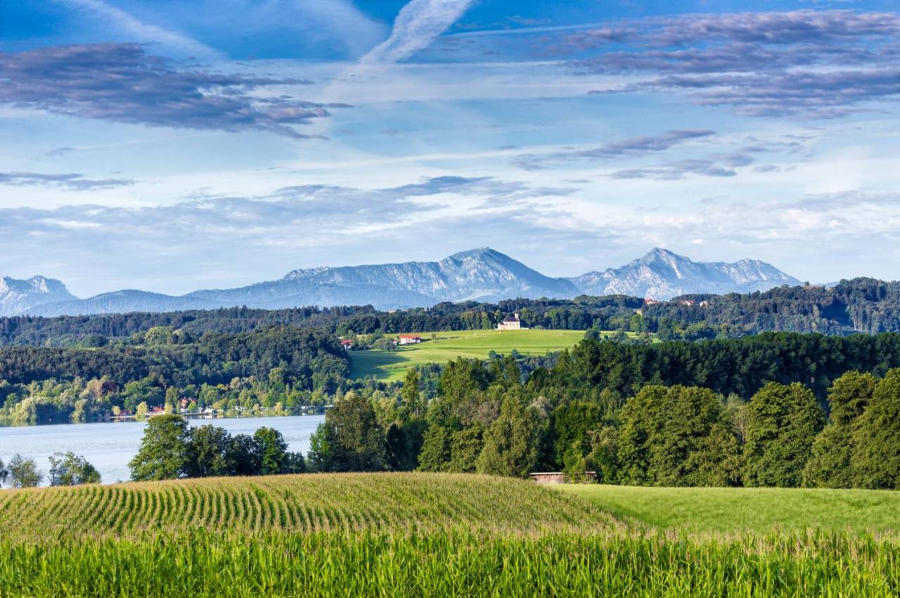 Landhaus Tanner Waging am See Luaran gambar